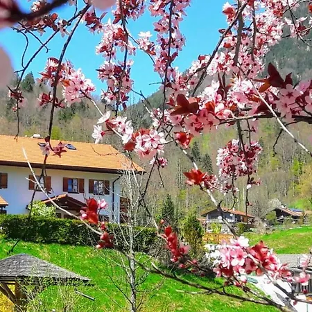 Haus Am Kurpark, Ferienwohnung Zoerner Apartamento *